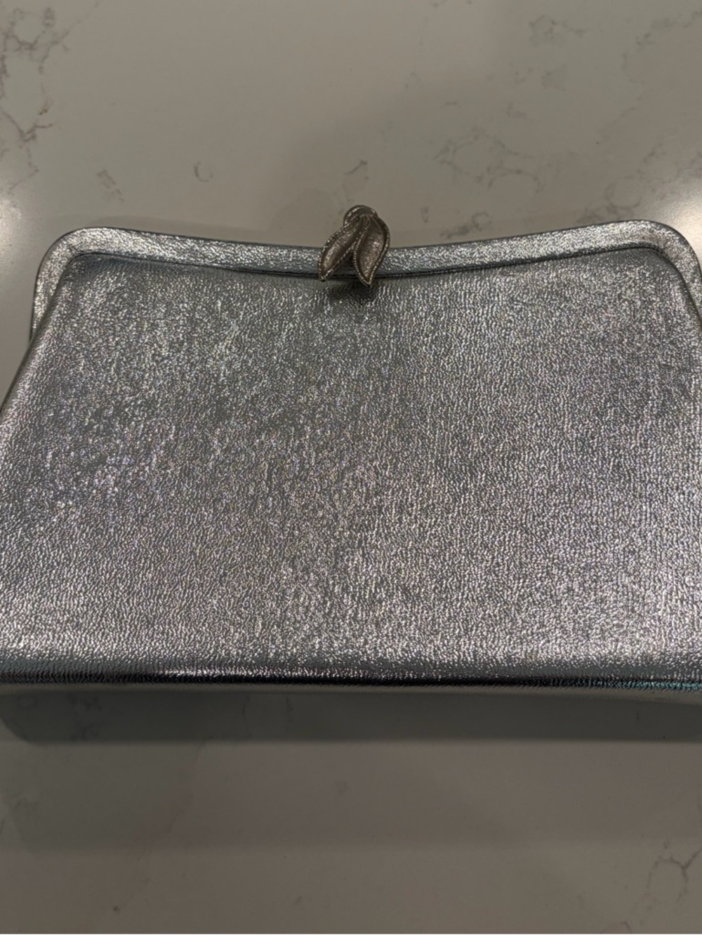 Silver Metallic Frame Clutch - Women's Evening Bag